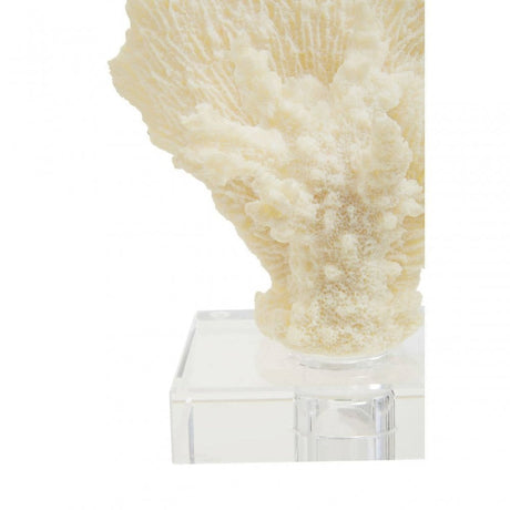 Boho Small White Coral