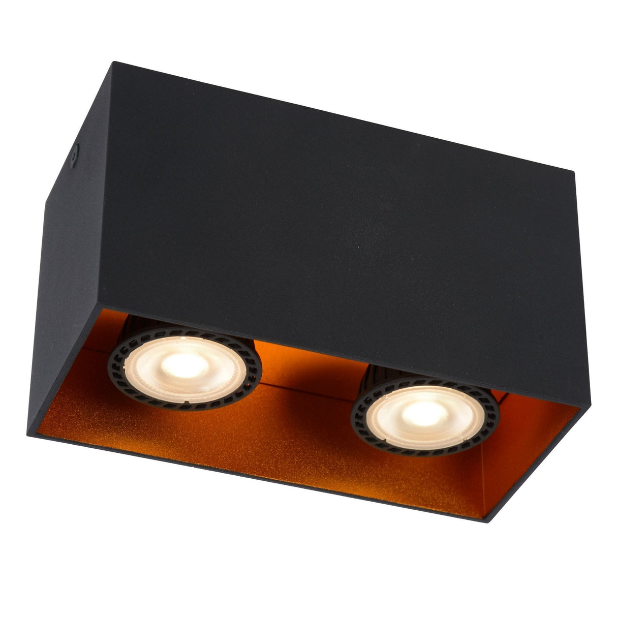 Stylish Modern Dual-Light Ceiling Spotlight in Sleek Black Finish