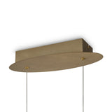 Elegant Gold Curve Minimalist Pendant Lamp