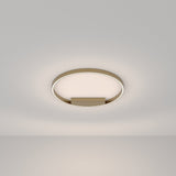 Contemporary Brass Circle Ceiling Light - Rim Series