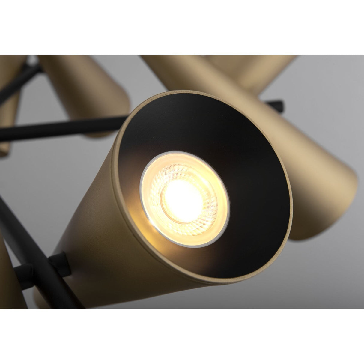 Sleek Brass Giro Pendant Lamp with Adjustable Height