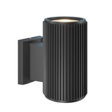 Rando Collection Waterproof Wall Light - Black