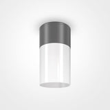 Graphite Outdoor Ceiling Lamp - Willis Collection