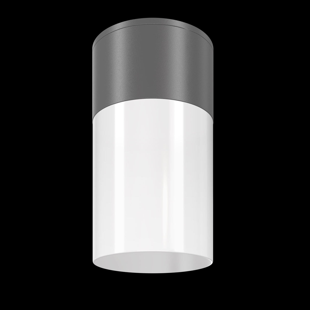 Graphite Outdoor Ceiling Lamp - Willis Collection