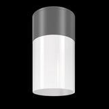 Graphite Outdoor Ceiling Lamp - Willis Collection