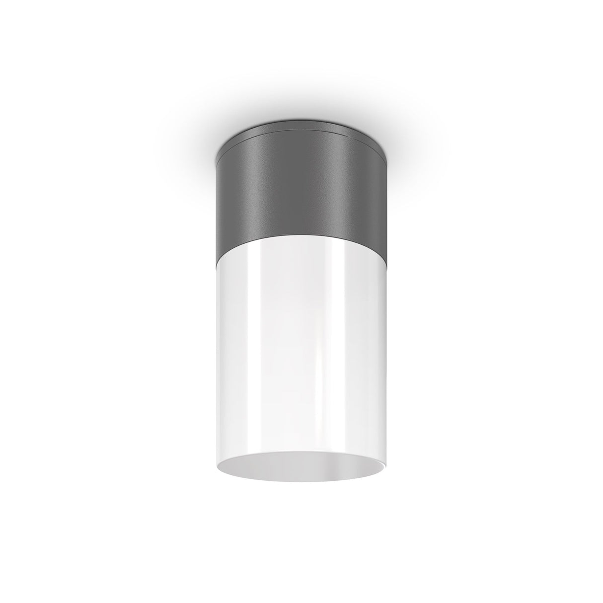 Graphite Outdoor Ceiling Lamp - Willis Collection