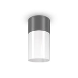 Graphite Outdoor Ceiling Lamp - Willis Collection
