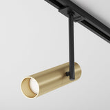 Elegant Black and Gold Elti Track Lighting with Swivel Adjustment