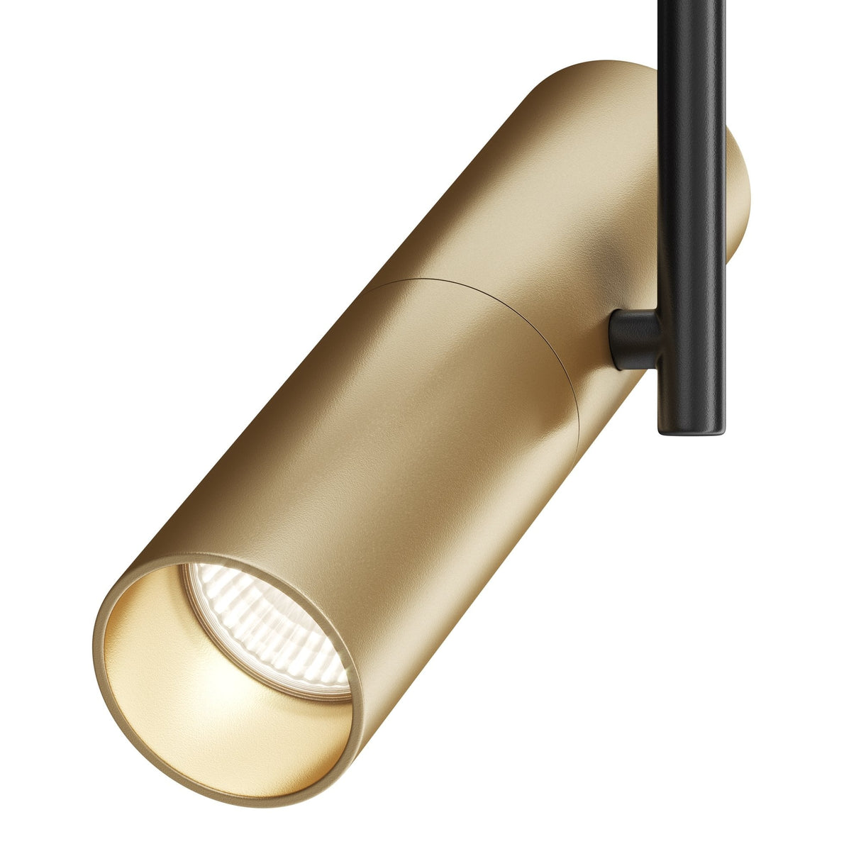Elegant Black and Gold Elti Track Lighting with Swivel Adjustment