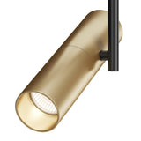 Elegant Black and Gold Elti Track Lighting with Swivel Adjustment