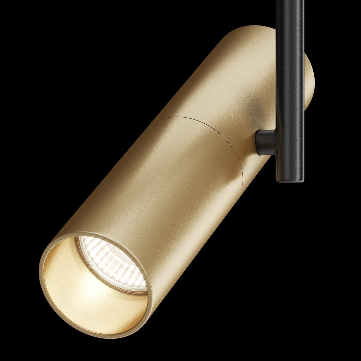 Elegant Black and Gold Elti Track Lighting with Swivel Adjustment