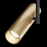 Elegant Black and Gold Elti Track Lighting with Swivel Adjustment