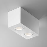White Atom Dual Light Ceiling Lamp