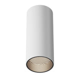 White Aluminum FOCUS LED Surface-Mounted Ceiling Lamp