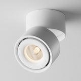 Yin Series Modern White Ceiling & Wall Lamp by Maytoni