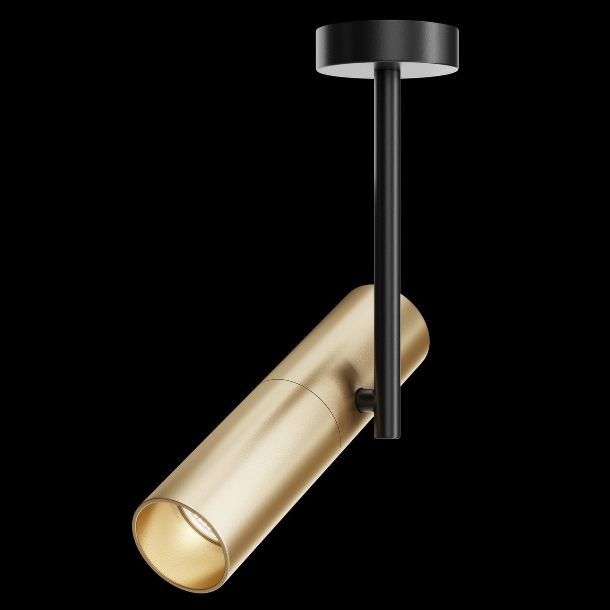 Contemporary Black and Gold Elti Adjustable Ceiling Lamp