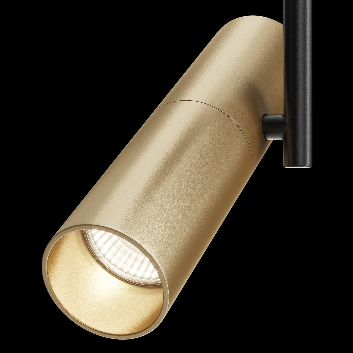 Contemporary Black and Gold Elti Adjustable Ceiling Lamp