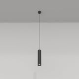 Black Sleek Pendant Focus Lamp