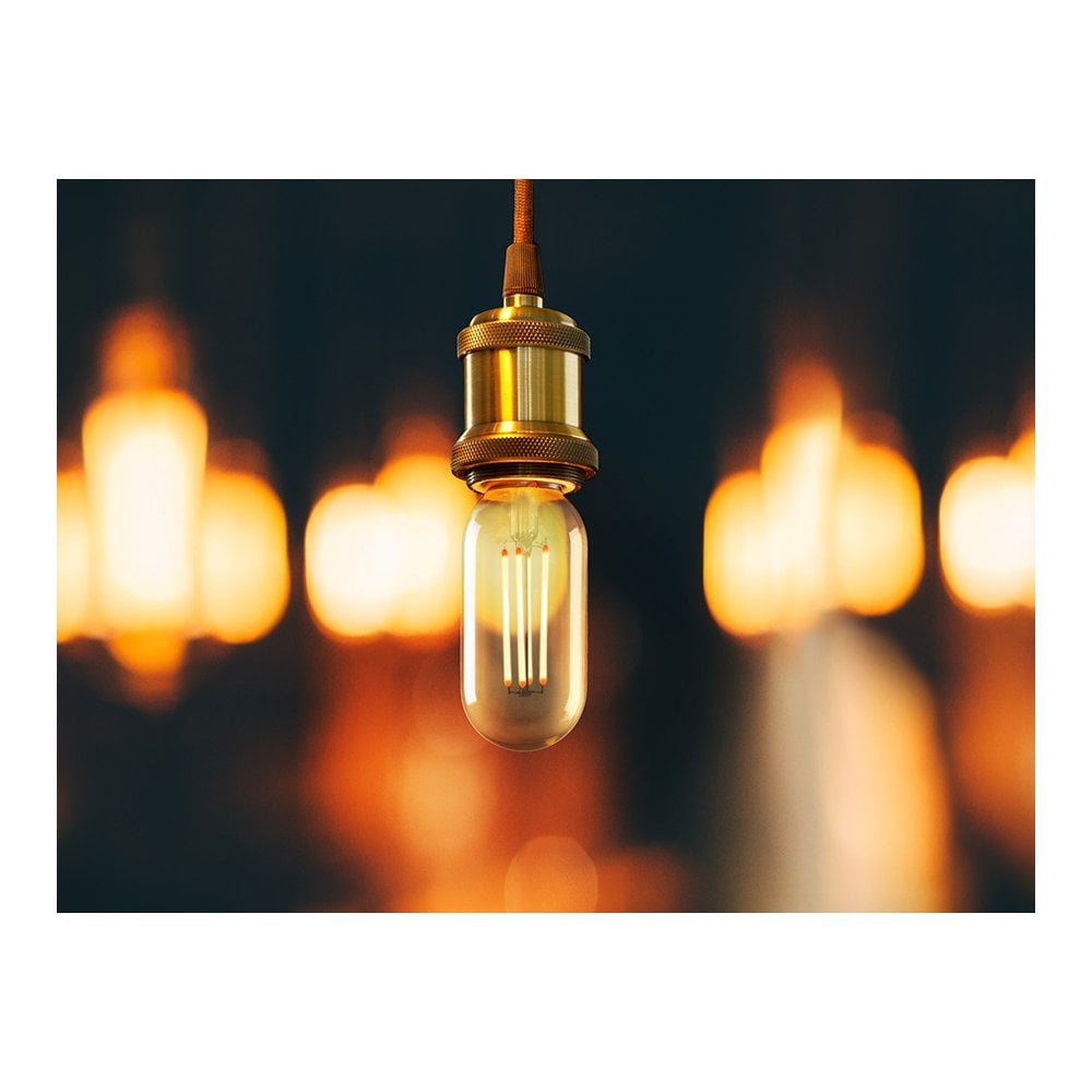 Retro-Chic Dimmable LED Light Bulb, 8W