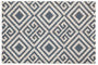Filta Blue And White Geo Coir Doormat