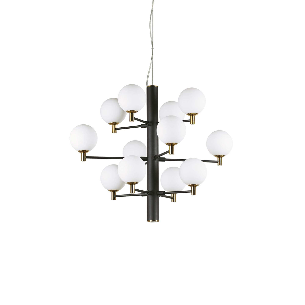 COPERNICO Black 12-Light Pendant Fixture