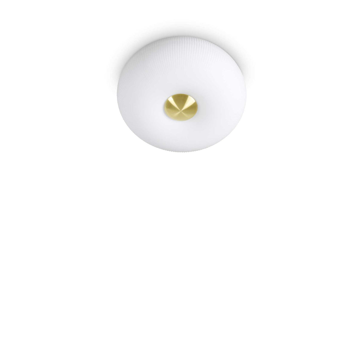 Desert Oasis Flush Mount Light Duo