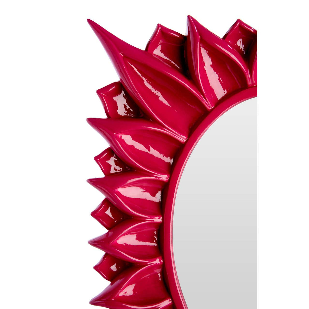 Raspberry 4 X 6" Floral Photo Frame