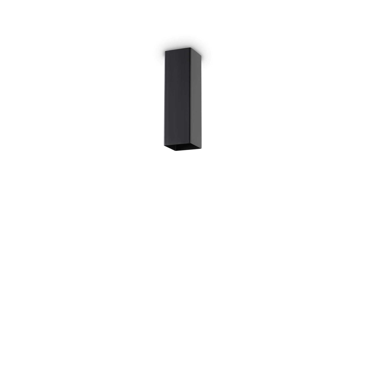 Black SKY H20 Flush Light Fixture with Single Bulb