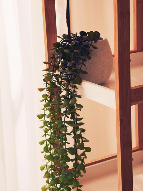 Nostra 5 Tier White / Bamboo Shelf Unit