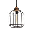 Beacan Black Metal Wire Pendant Light