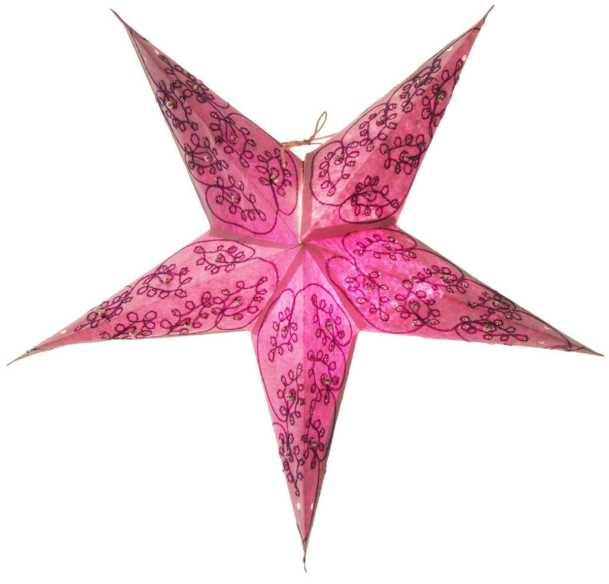 Leela 5 Point Purple Paper Star