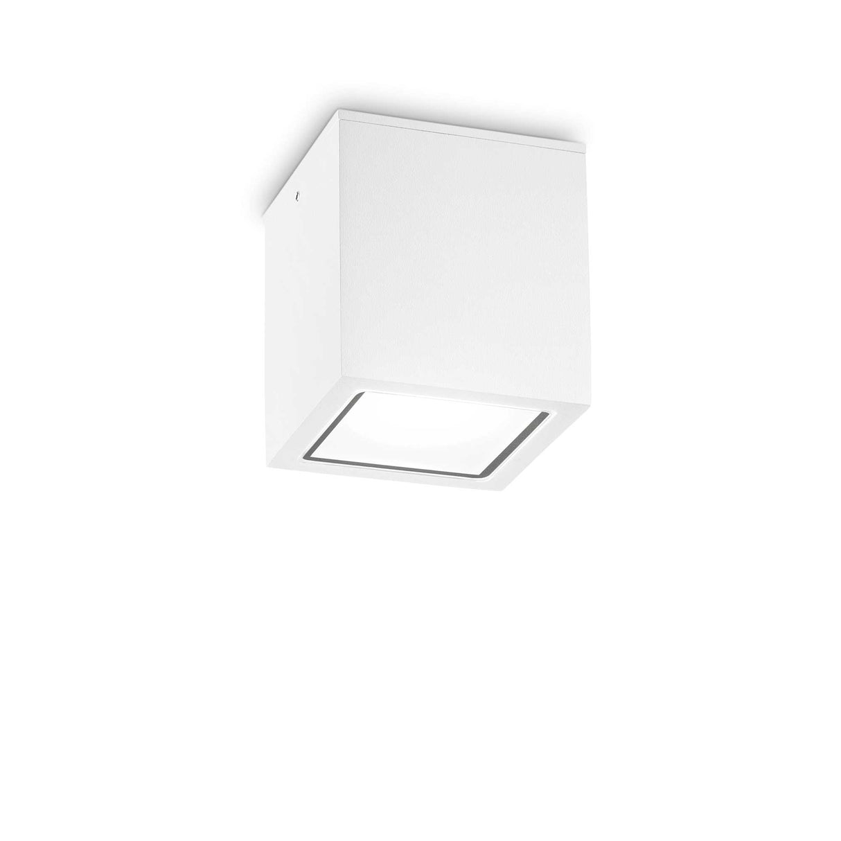 Modern White Techo Ceiling Light with Single Bulb