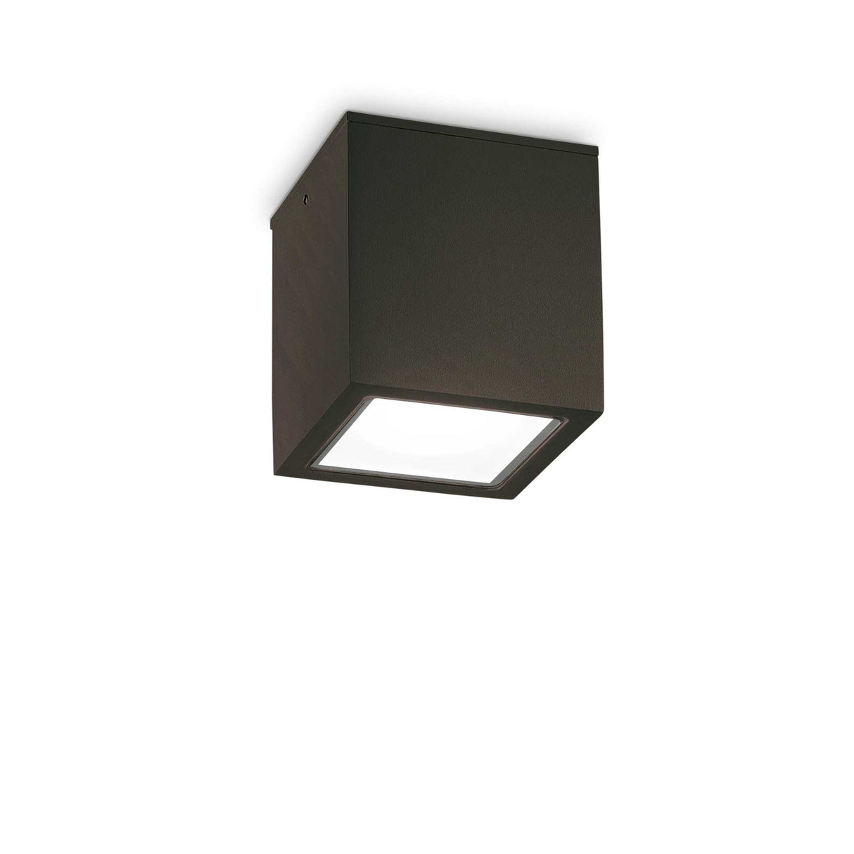 TECHO Large Black Single-Bulb Flush Light