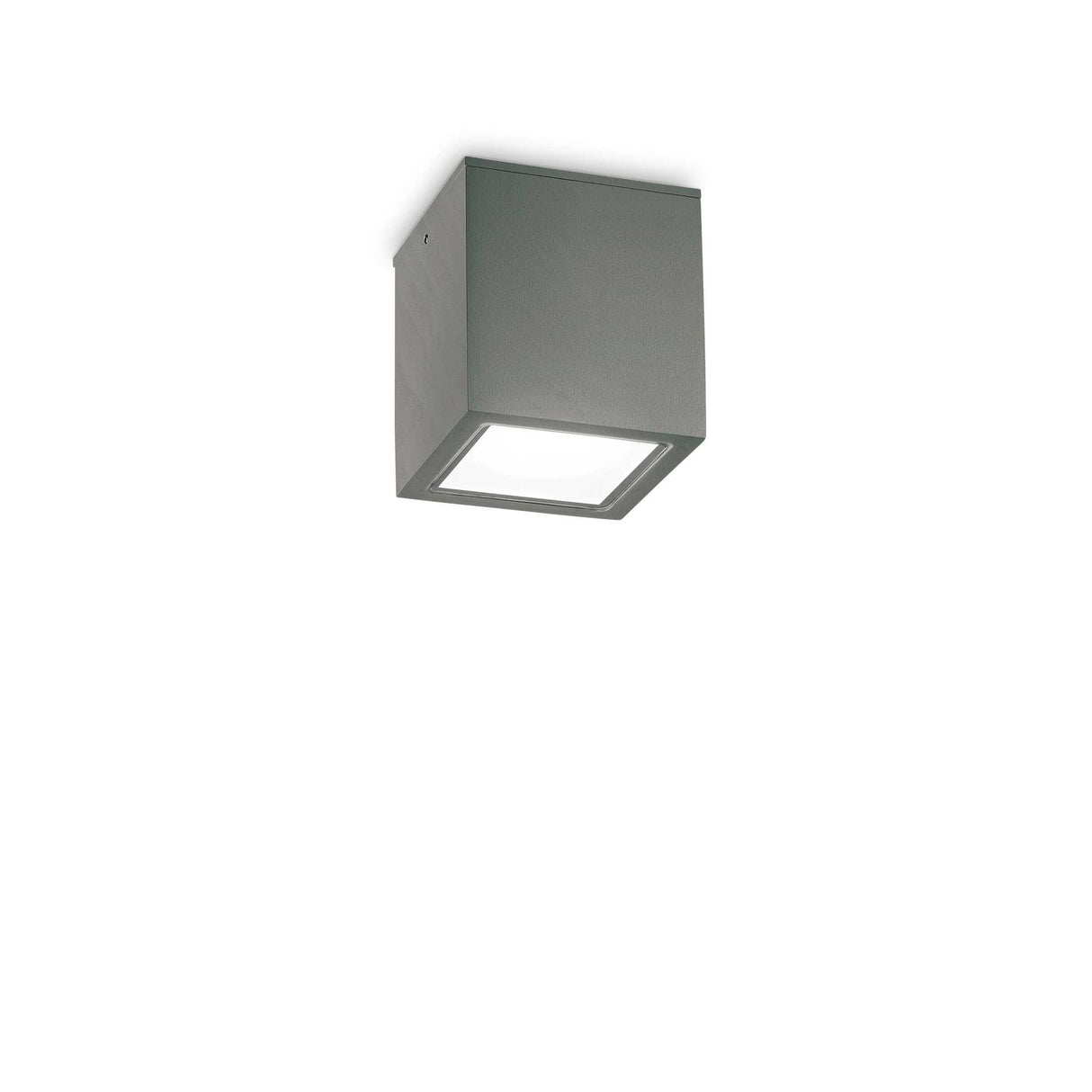 Anthracite Single-Bulb Flush Ceiling Light - Compact Design