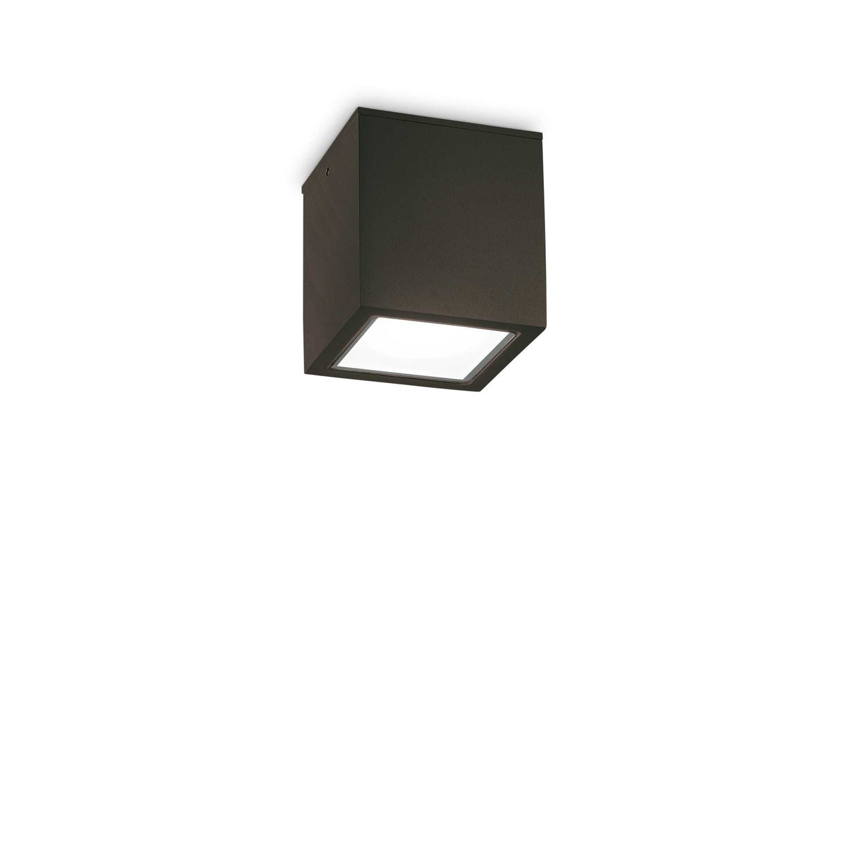 Compact Black Ceiling Light with Single Bulb - TECHO Collection