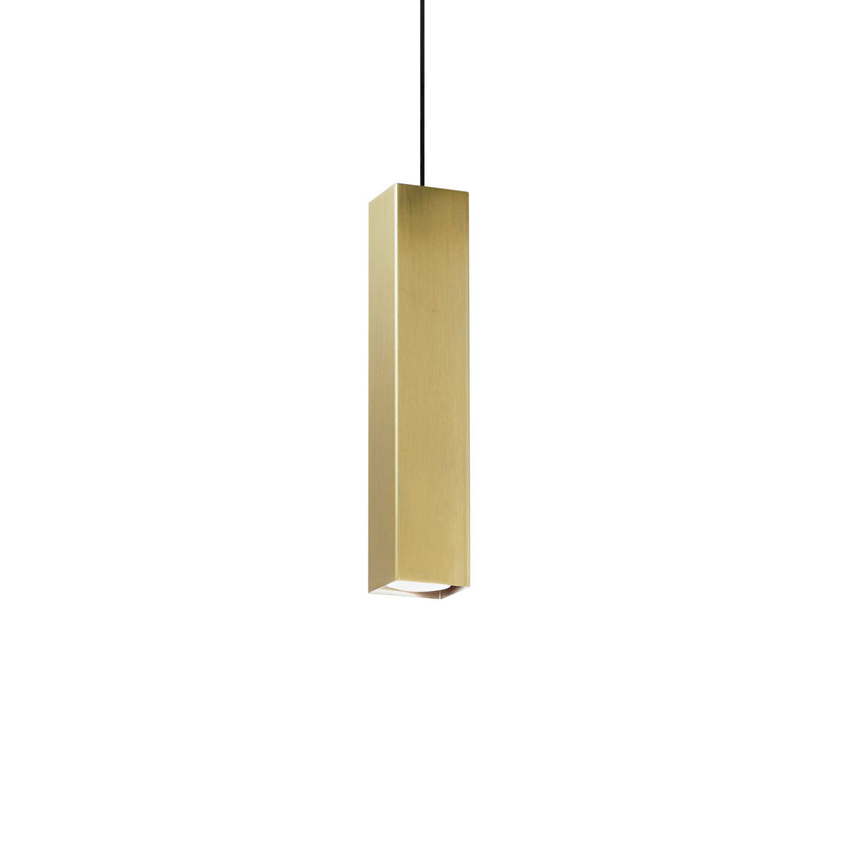 Elegant Brass Pendant Light with Single Bulb