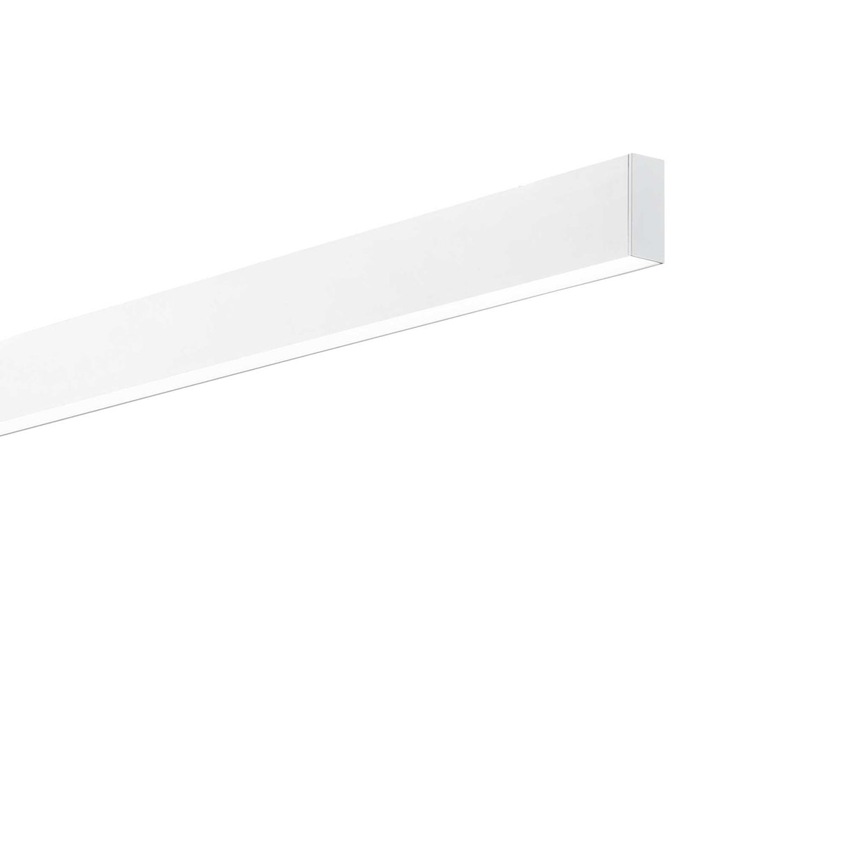 Steel Satin Wide 3000K in Pure White Finish
