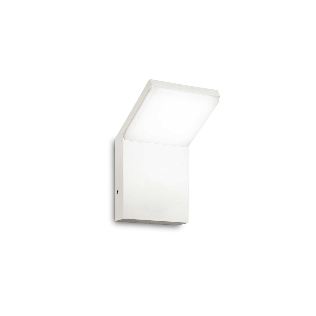 Sleek White 3000K Contemporary Wall Light