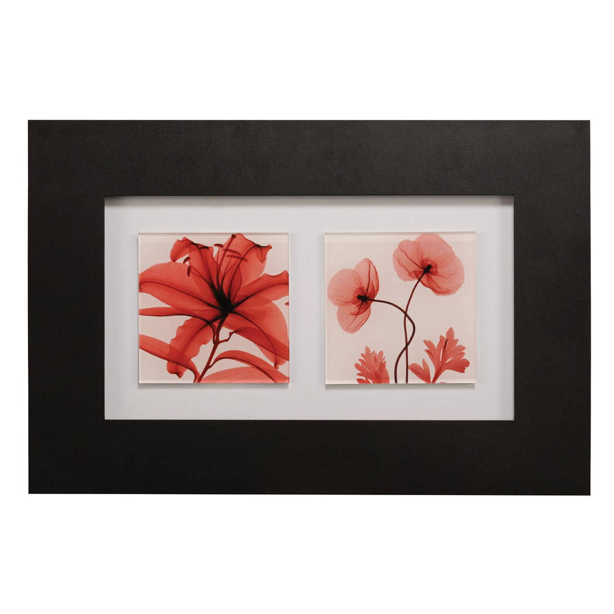 Red Poppy Glass Framed Double Wall Art