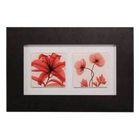 Red Poppy Glass Framed Double Wall Art