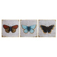 Butterfly Wall Plaque - Set Of 3