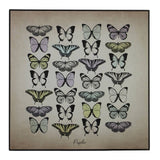 Papilio Butterfly Wall Plaque