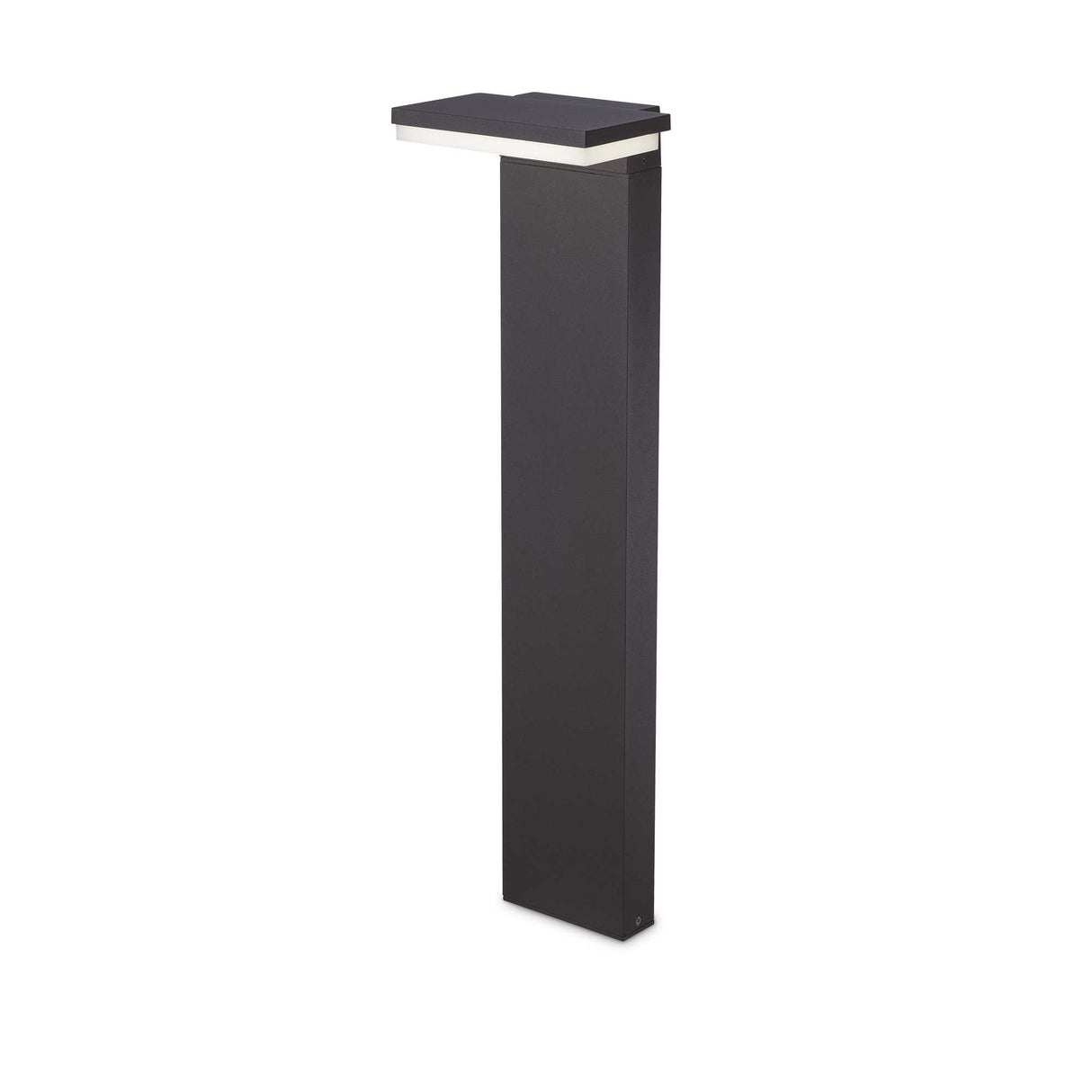 Elegance Unveiled: Modern Pathway Illumination