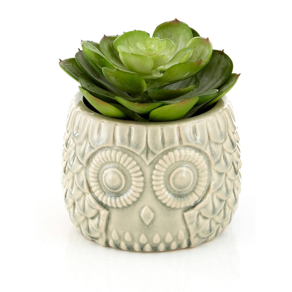 Fiori Large Succulent In Grey Ceramic Owl Pot
