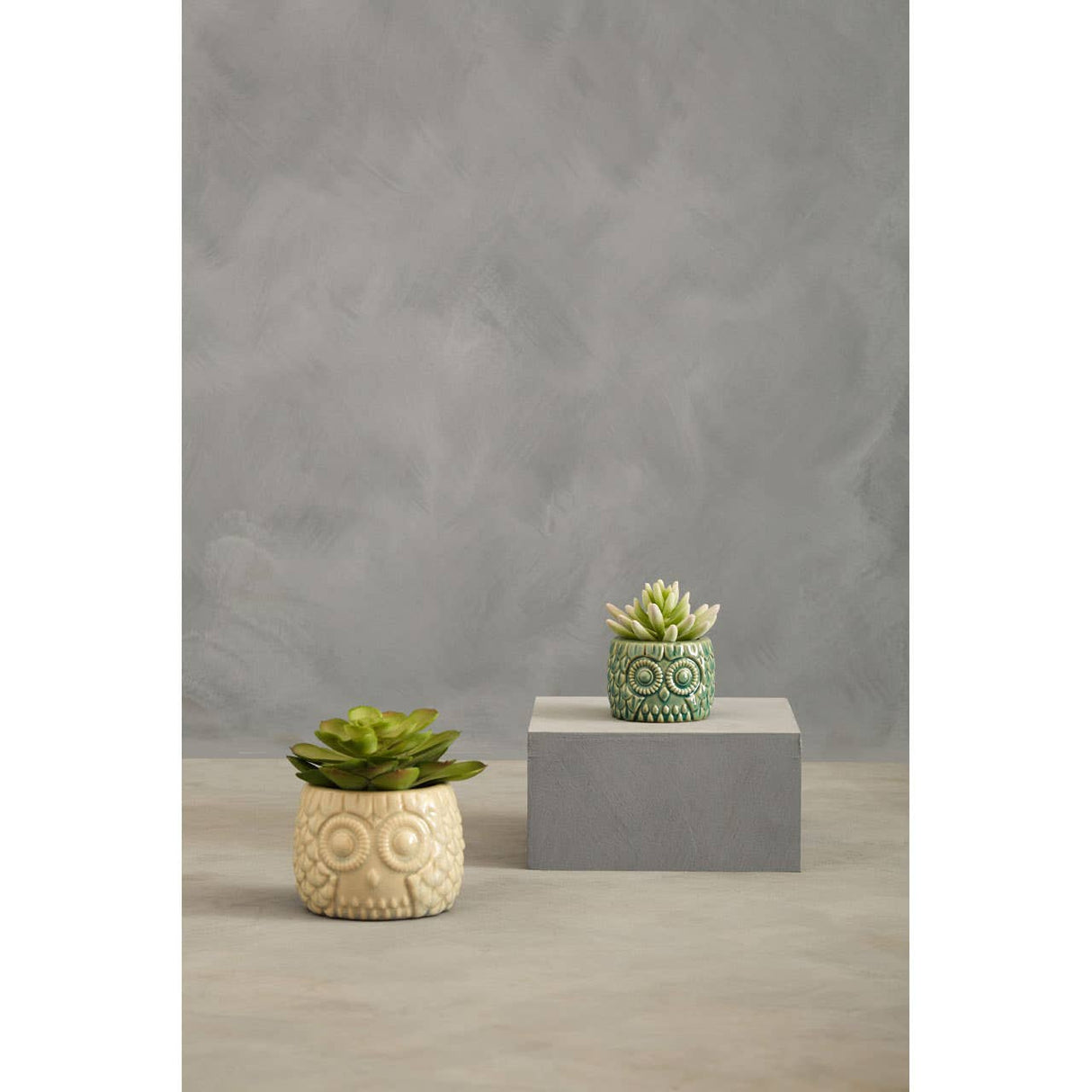 Fiori Large Succulent In Grey Ceramic Owl Pot