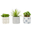 Fiori Set Of 3 Succulents In Henna Ceramic Pots