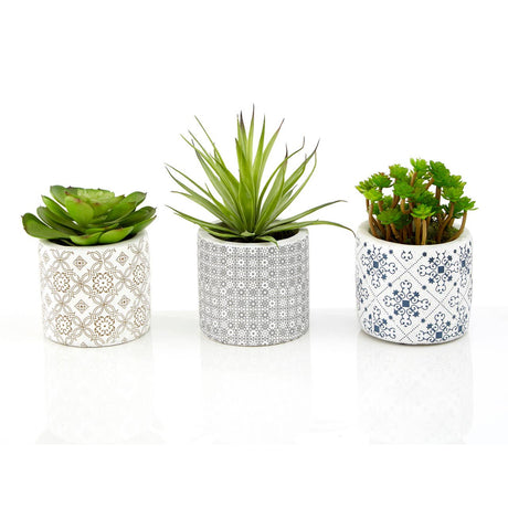 Fiori Set Of 3 Succulents In Henna Ceramic Pots