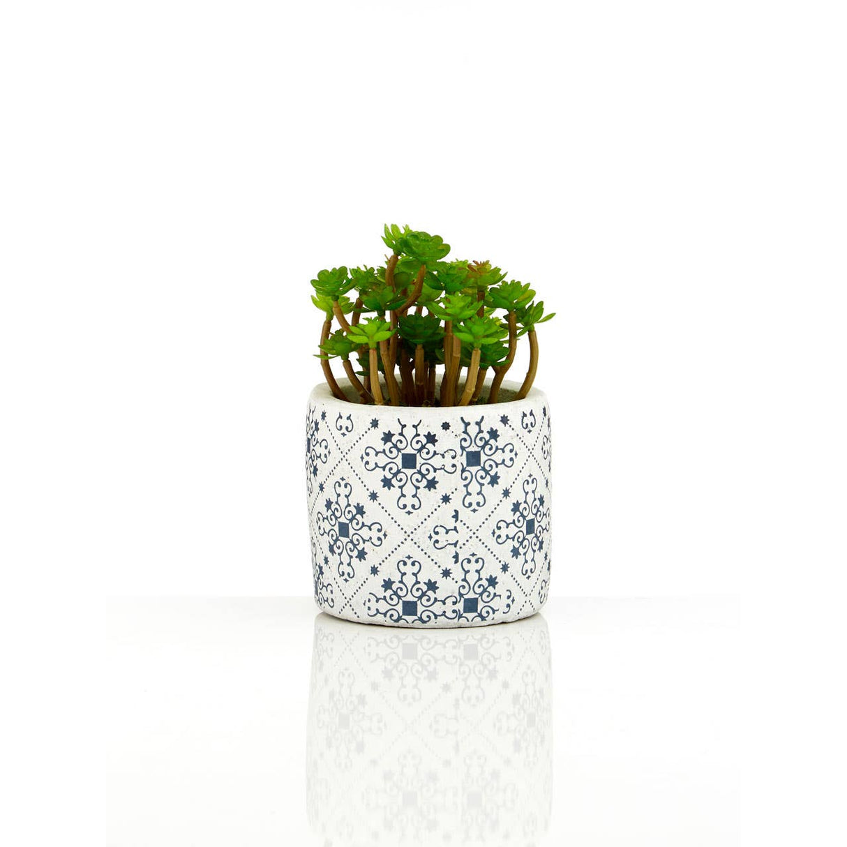 Fiori Set Of 3 Succulents In Henna Ceramic Pots