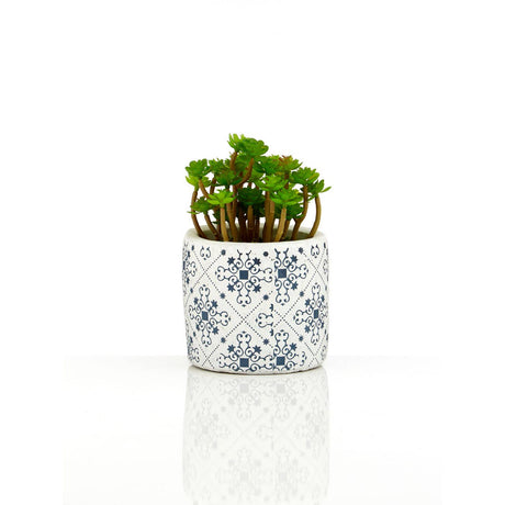 Fiori Set Of 3 Succulents In Henna Ceramic Pots