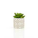 Fiori Set Of 3 Succulents In Henna Ceramic Pots